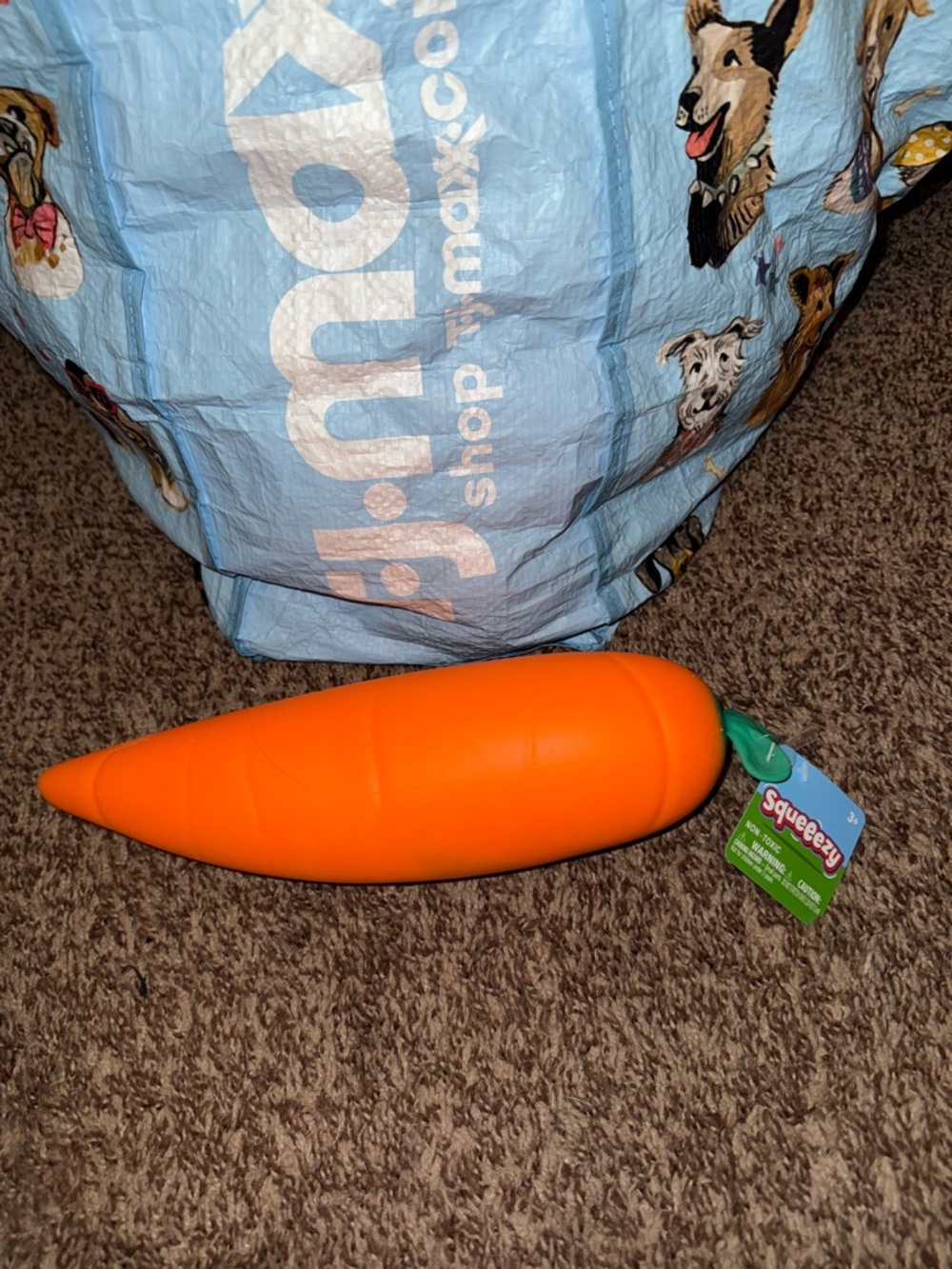 Squeeezy Carrot Brand New Squishy